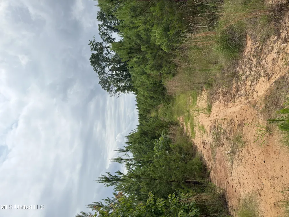 Dividing Ridge Road Gore Springs, MS 38929