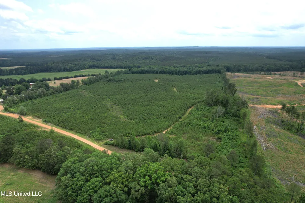 Dividing Ridge Road Gore Springs, MS 38929
