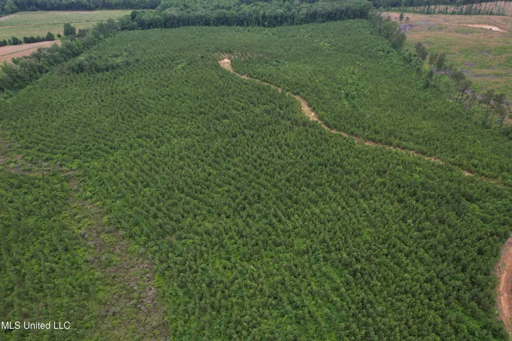 Dividing Ridge Road Gore Springs, MS 38929