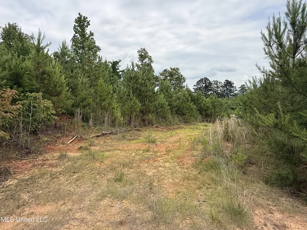 Dividing Ridge Road Gore Springs, MS 38929