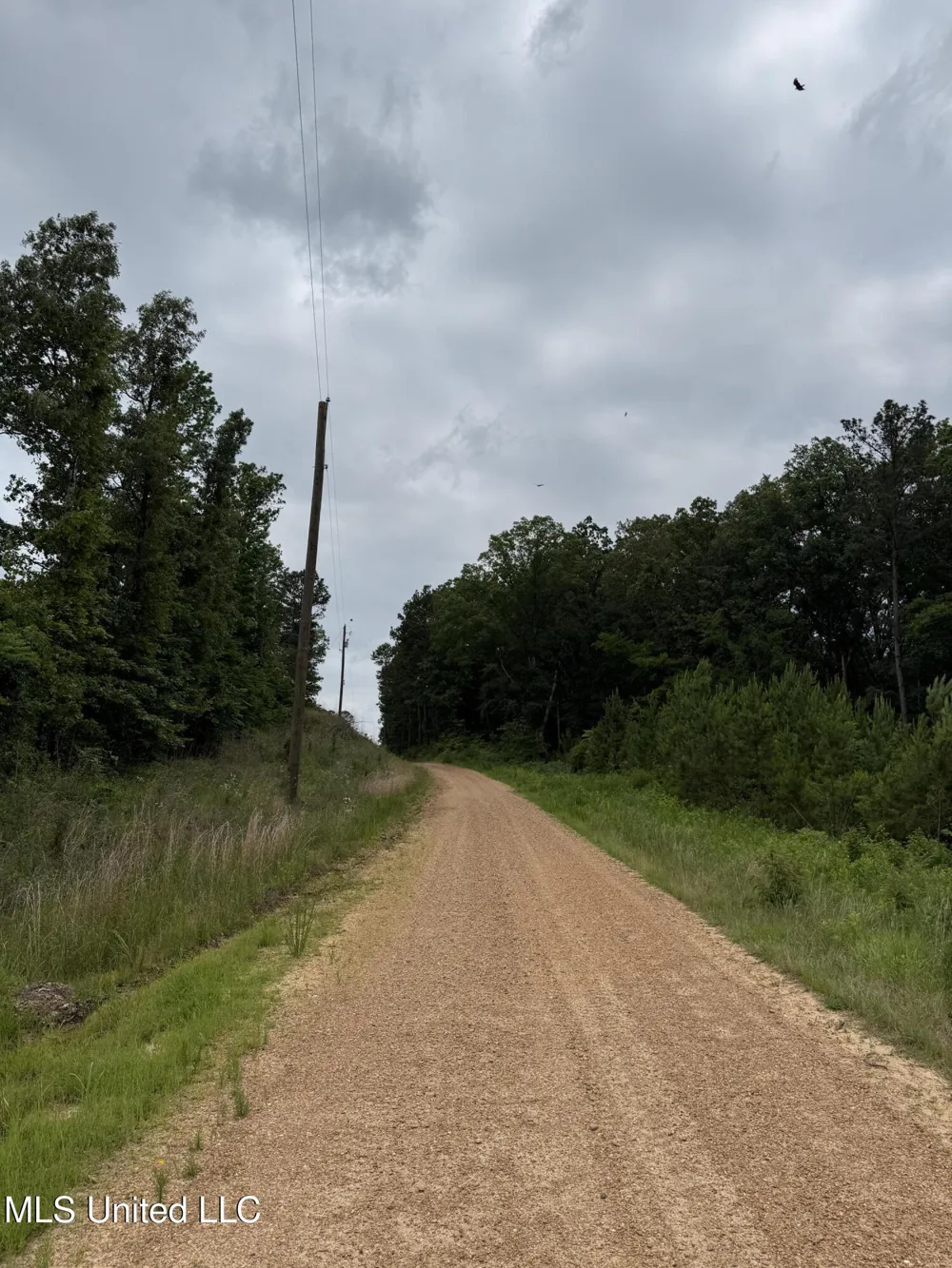 Dividing Ridge Road Gore Springs, MS 38929