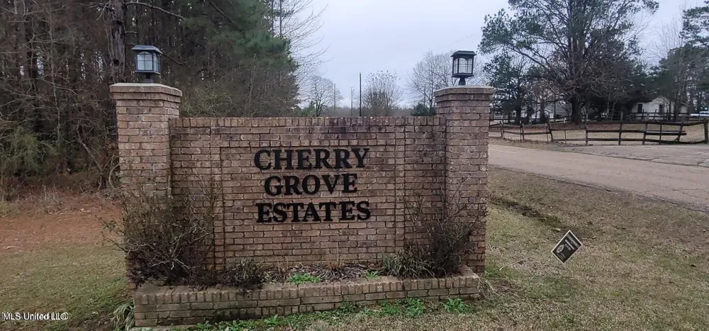 0 Edward Owens Drive Terry, MS 39170