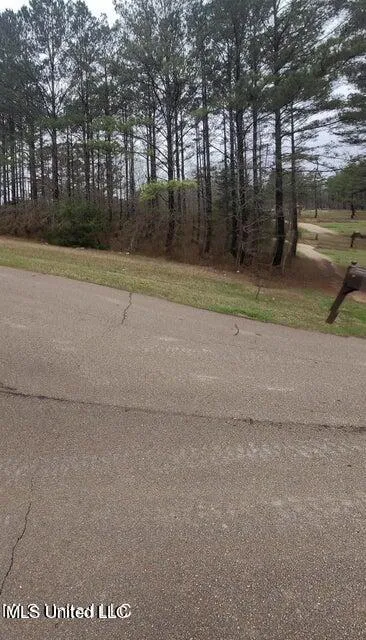 0 Edward Owens Drive Terry, MS 39170
