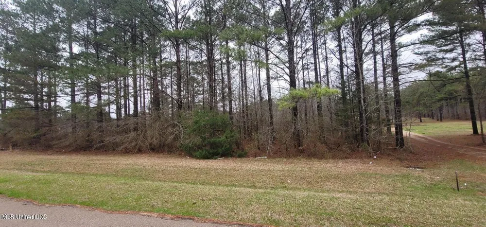 0 Edward Owens Drive Terry, MS 39170