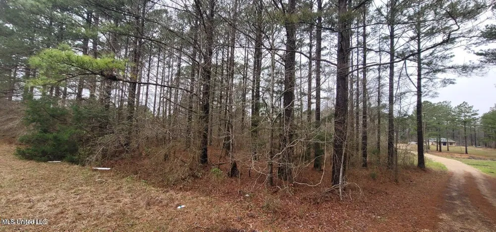 0 Edward Owens Drive Terry, MS 39170