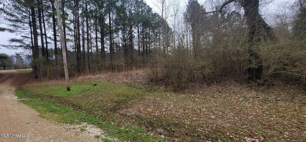 0 Edward Owens Drive Terry, MS 39170