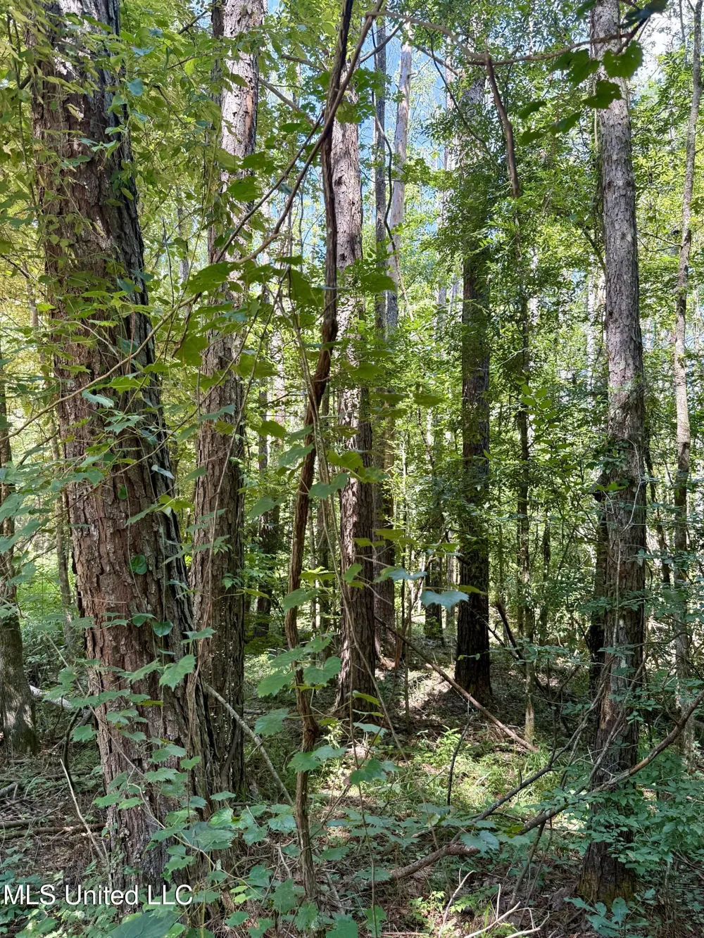 0 Broome Road Wesson, MS 39191