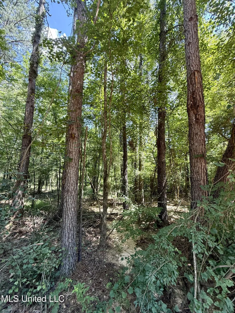 0 Broome Road Wesson, MS 39191