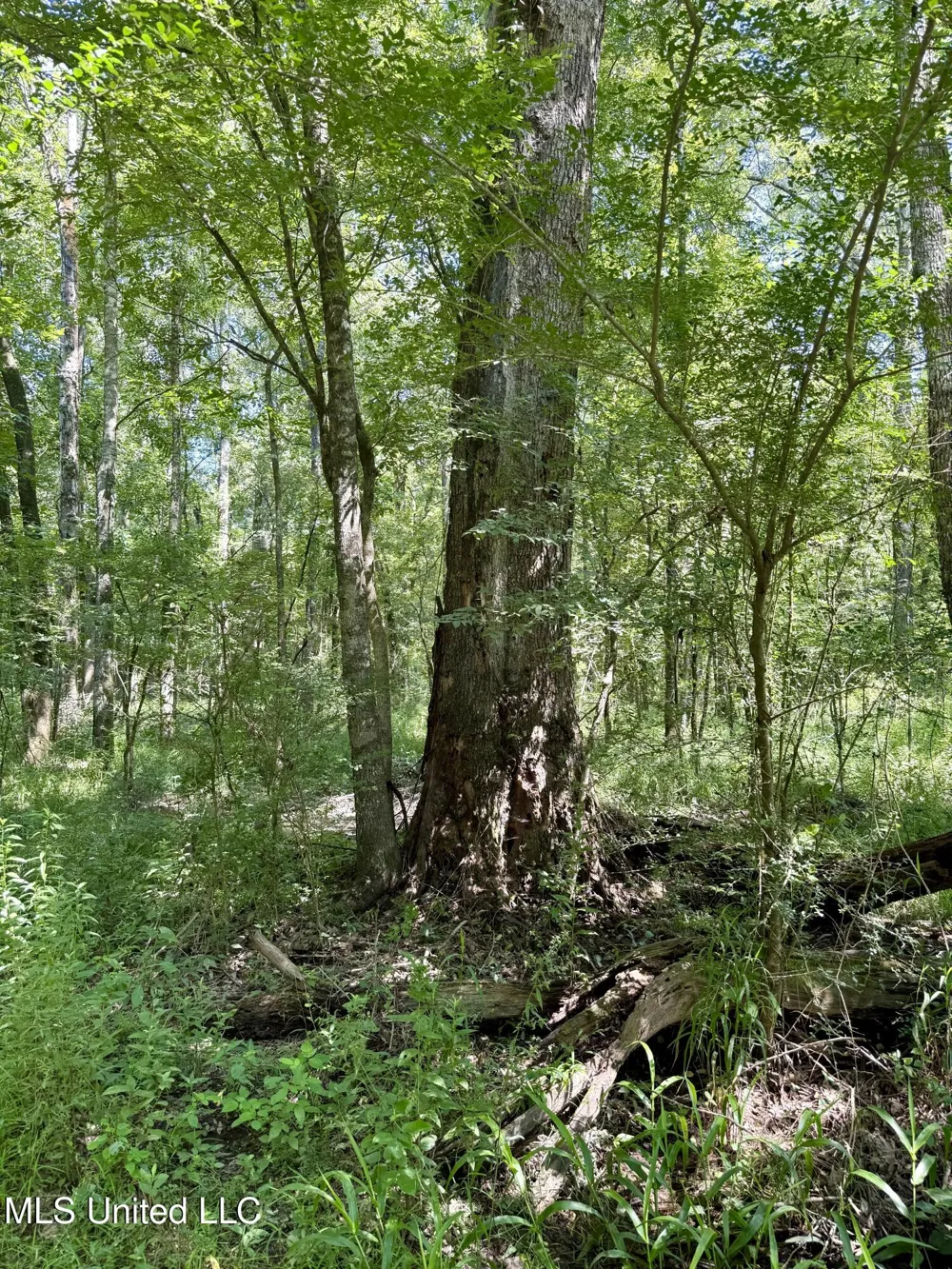 0 Broome Road Wesson, MS 39191