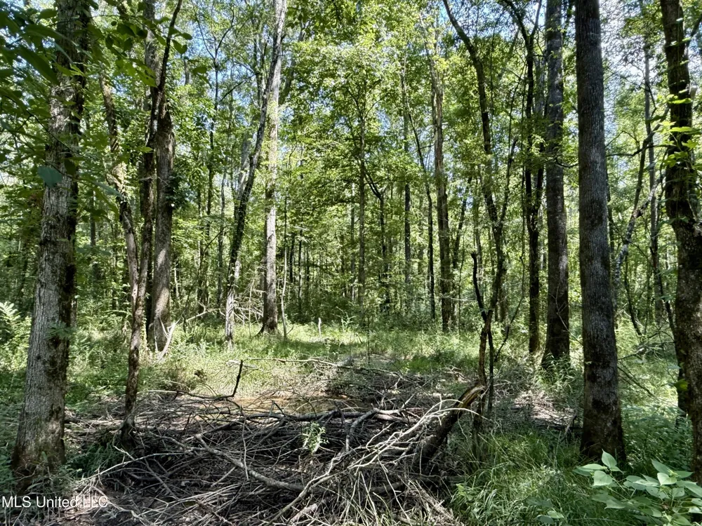 0 Broome Road Wesson, MS 39191