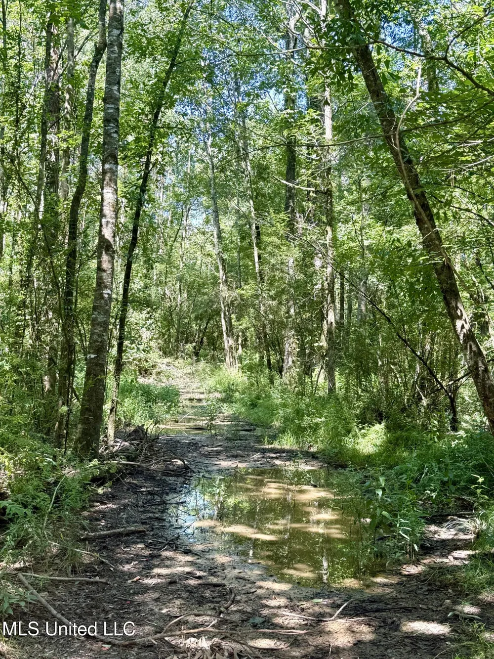 0 Broome Road Wesson, MS 39191
