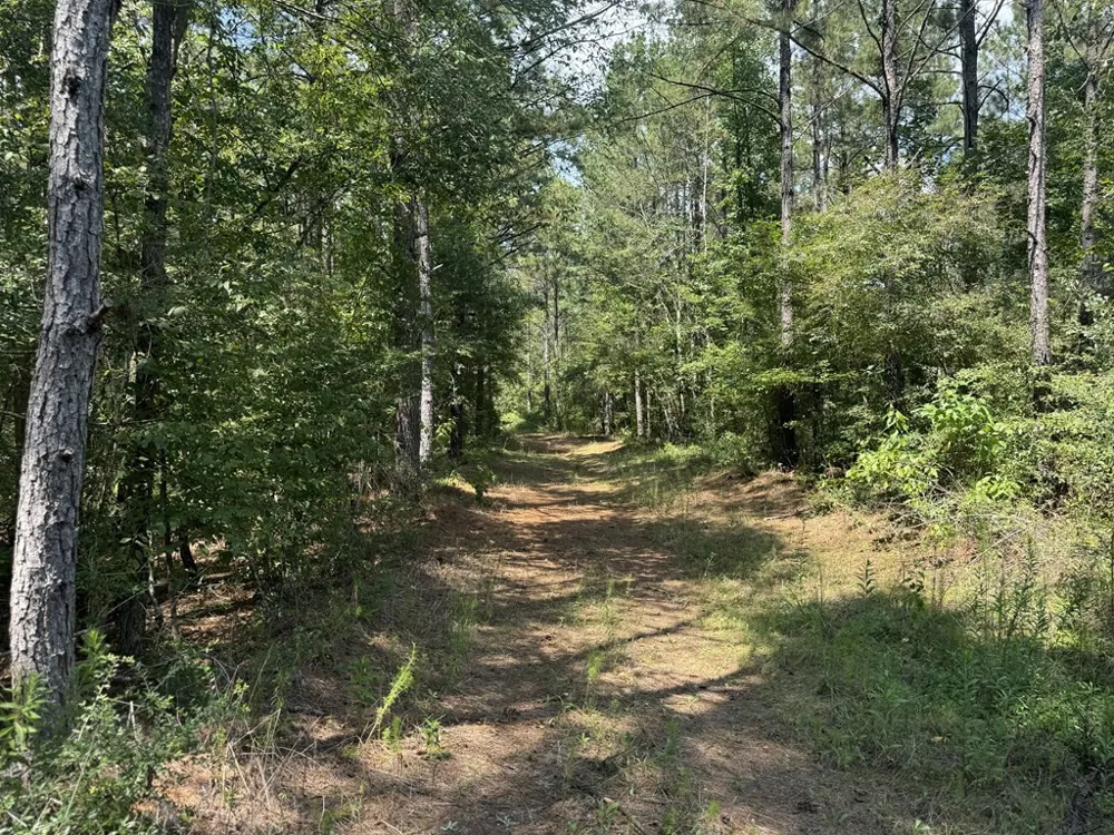 0 Graves Road Liberty, MS 39645