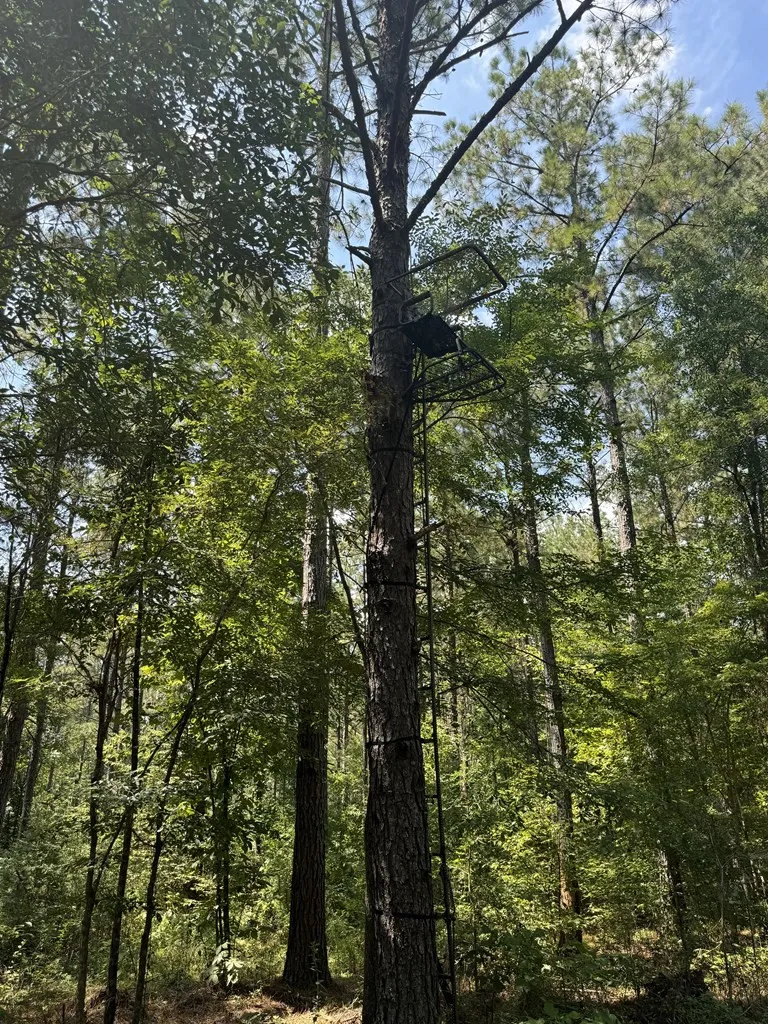 0 Graves Road Liberty, MS 39645