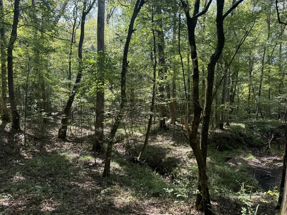 0 Graves Road Liberty, MS 39645