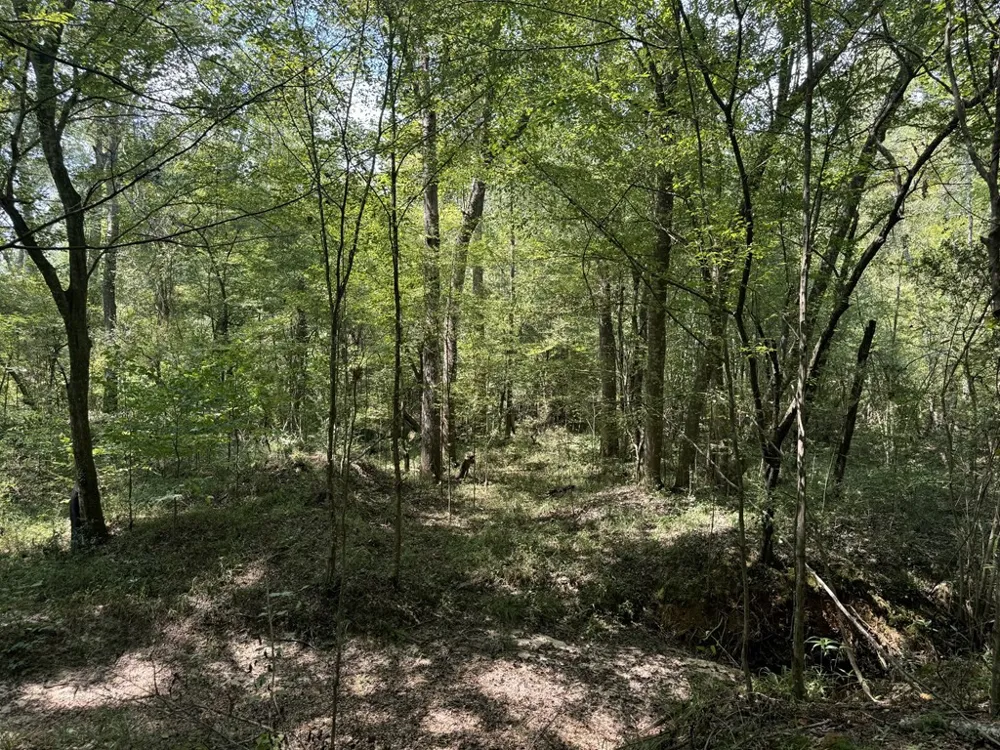 0 Graves Road Liberty, MS 39645