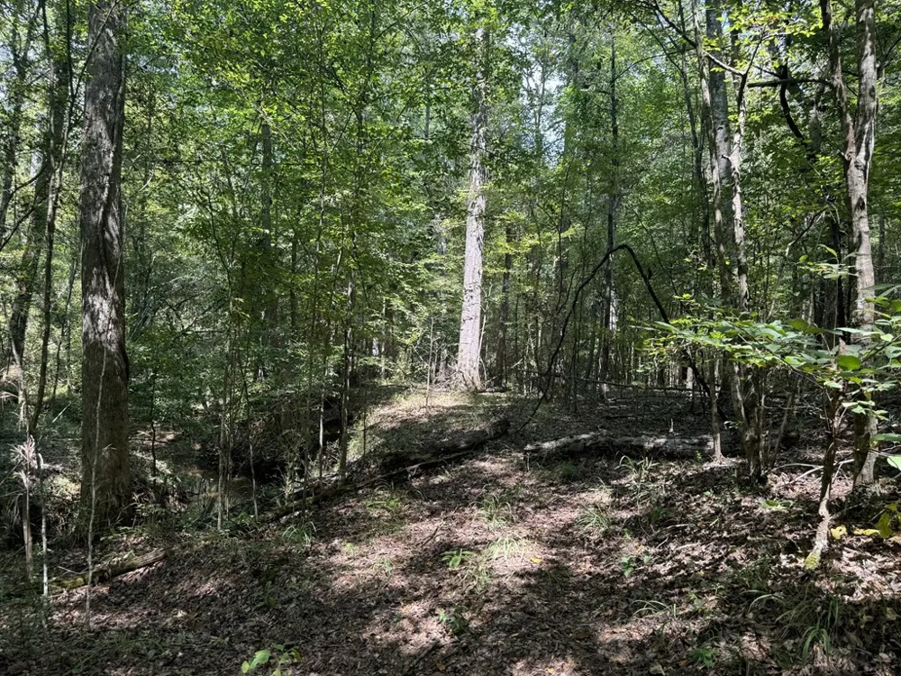 0 Graves Road Liberty, MS 39645