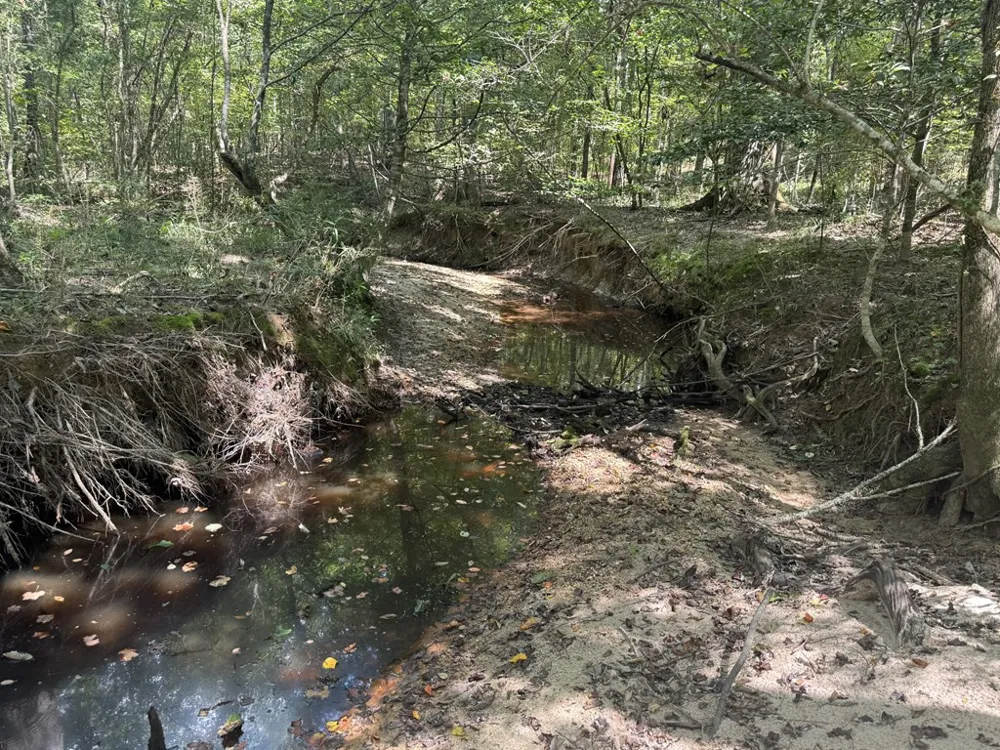 0 Graves Road Liberty, MS 39645
