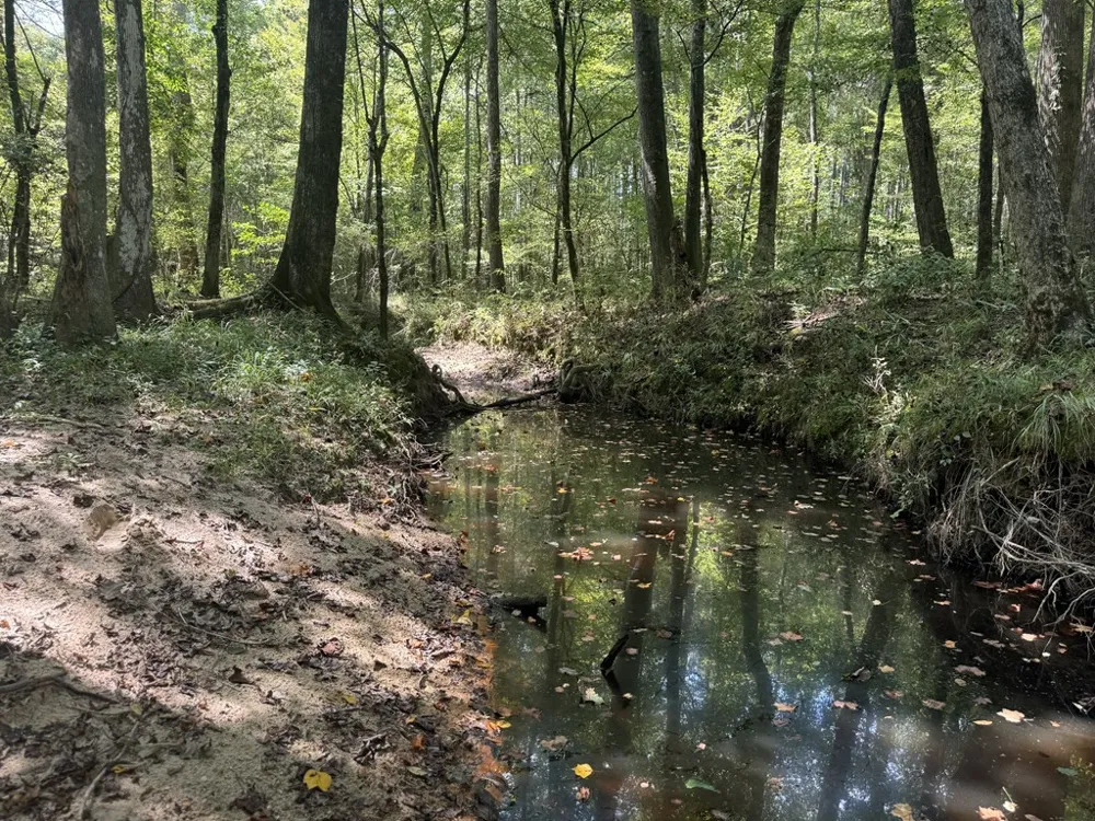 0 Graves Road Liberty, MS 39645