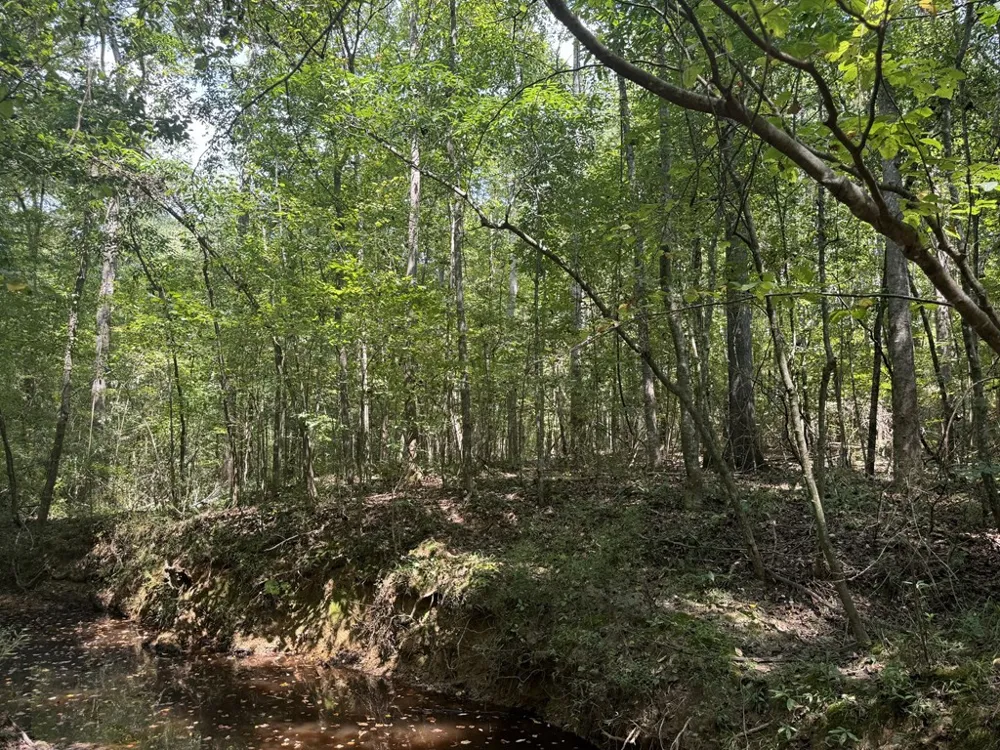0 Graves Road Liberty, MS 39645