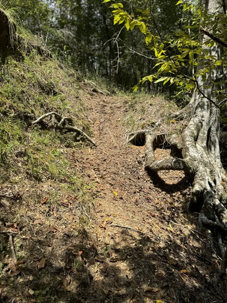 0 Graves Road Liberty, MS 39645
