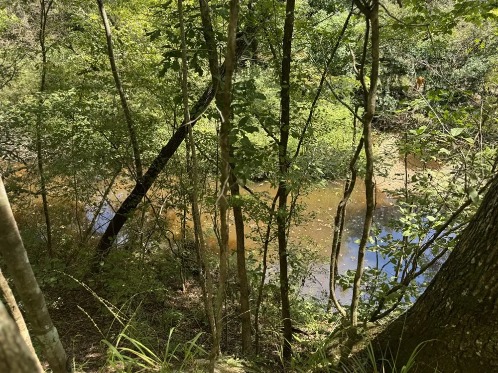 0 Graves Road Liberty, MS 39645