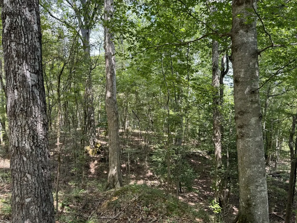 0 Graves Road Liberty, MS 39645