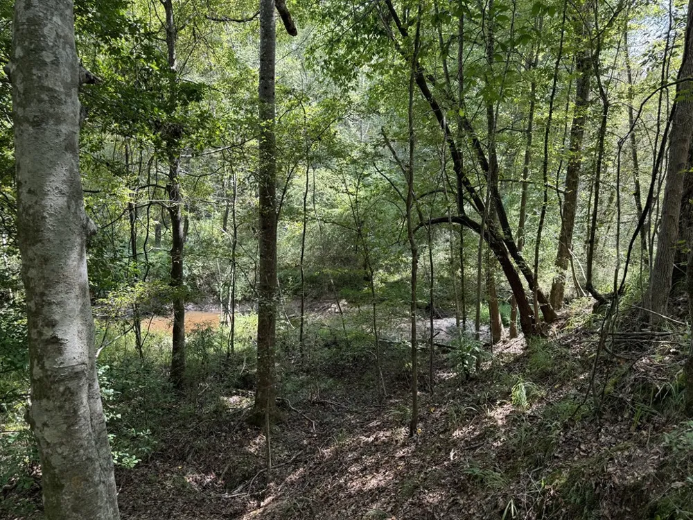 0 Graves Road Liberty, MS 39645