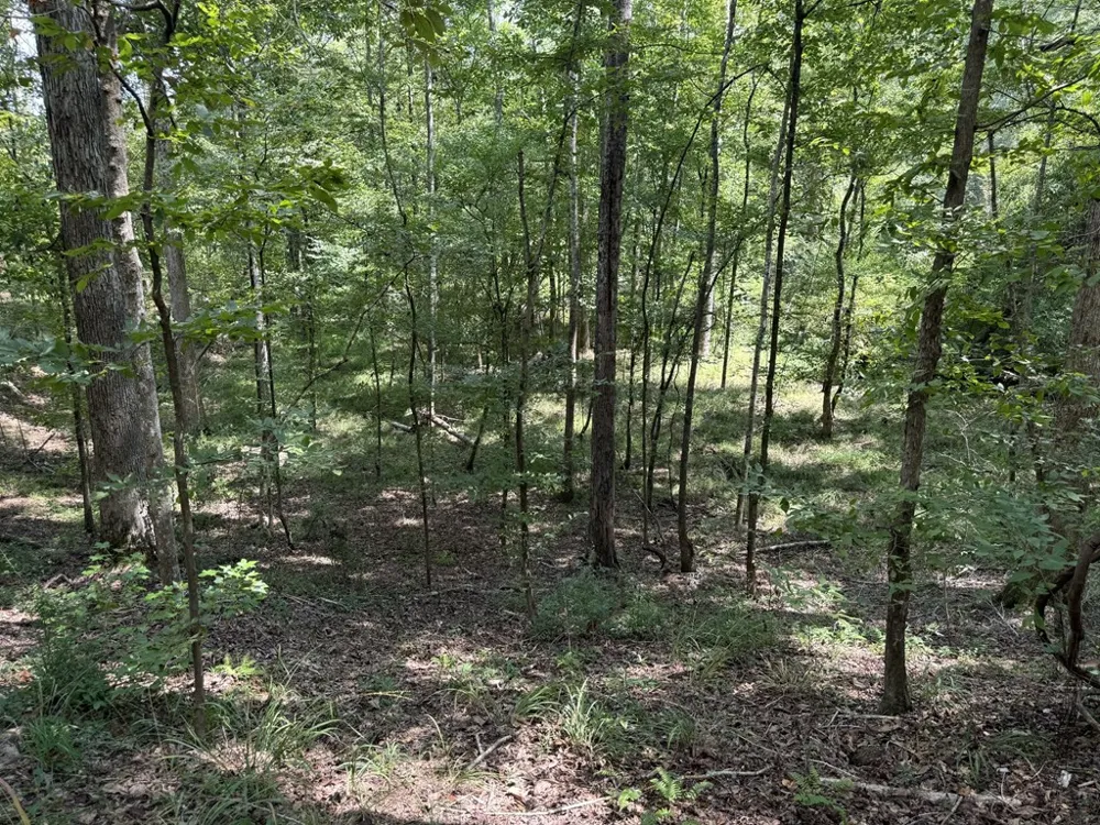 0 Graves Road Liberty, MS 39645