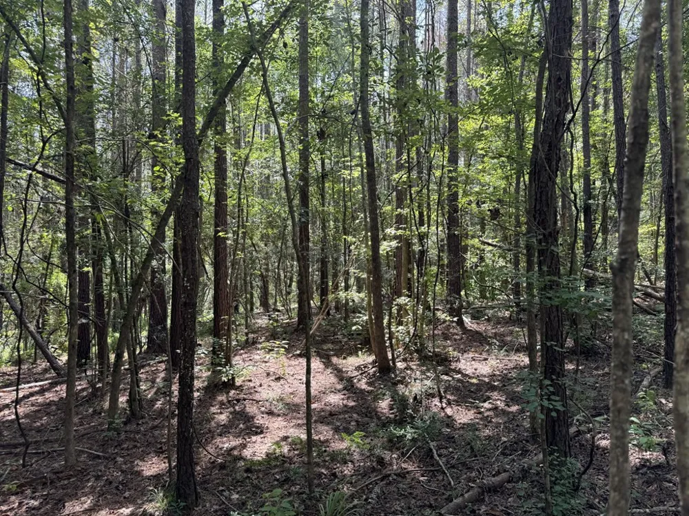0 Graves Road Liberty, MS 39645