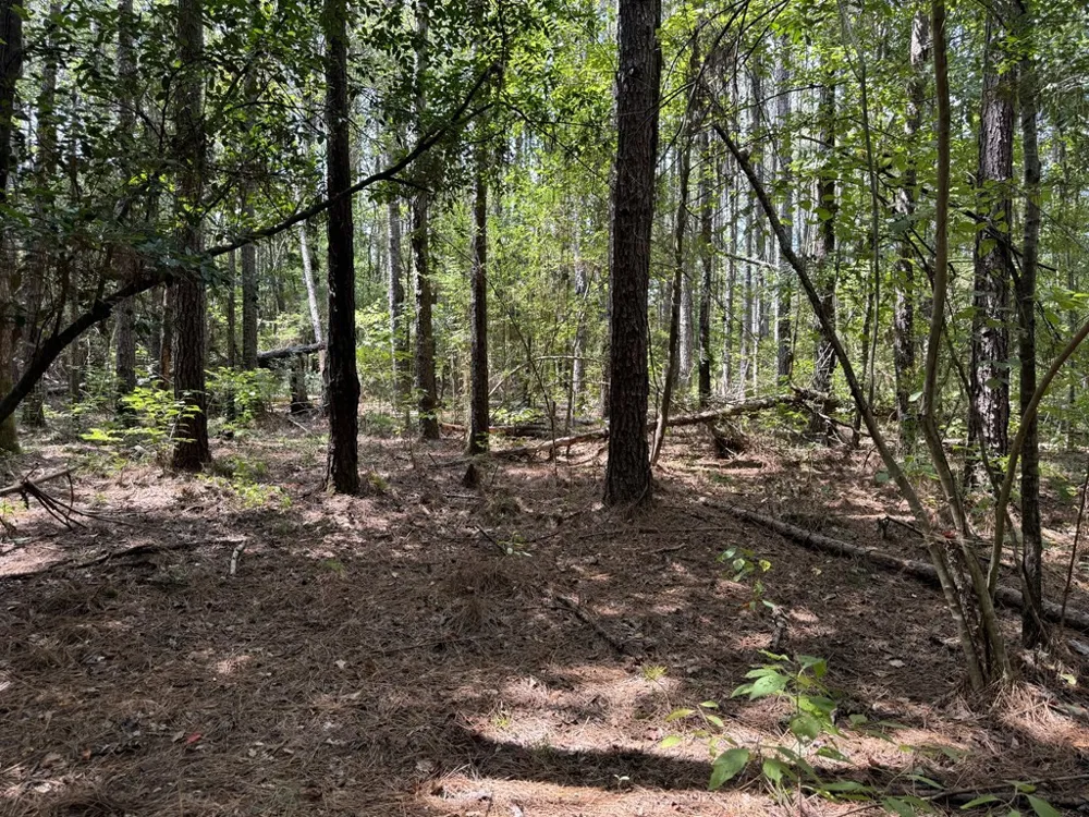 0 Graves Road Liberty, MS 39645