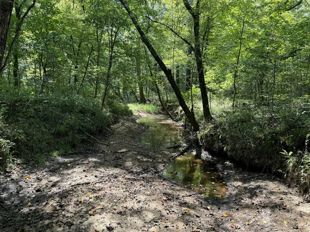 0 Graves Road Liberty, MS 39645