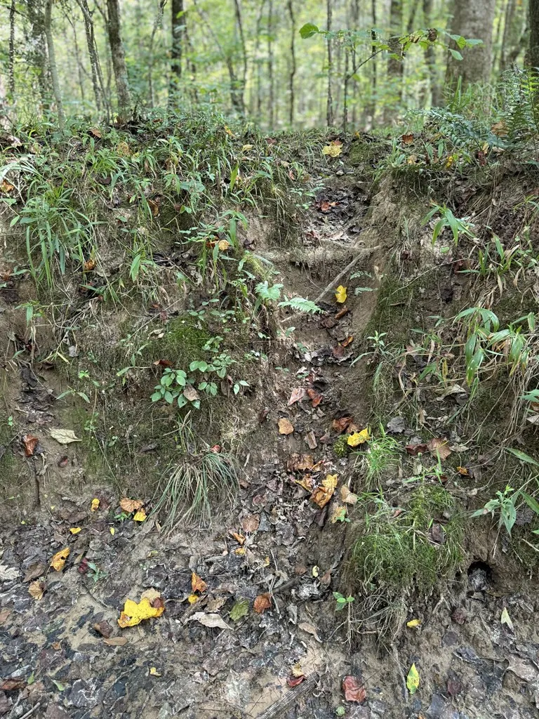 0 Graves Road Liberty, MS 39645