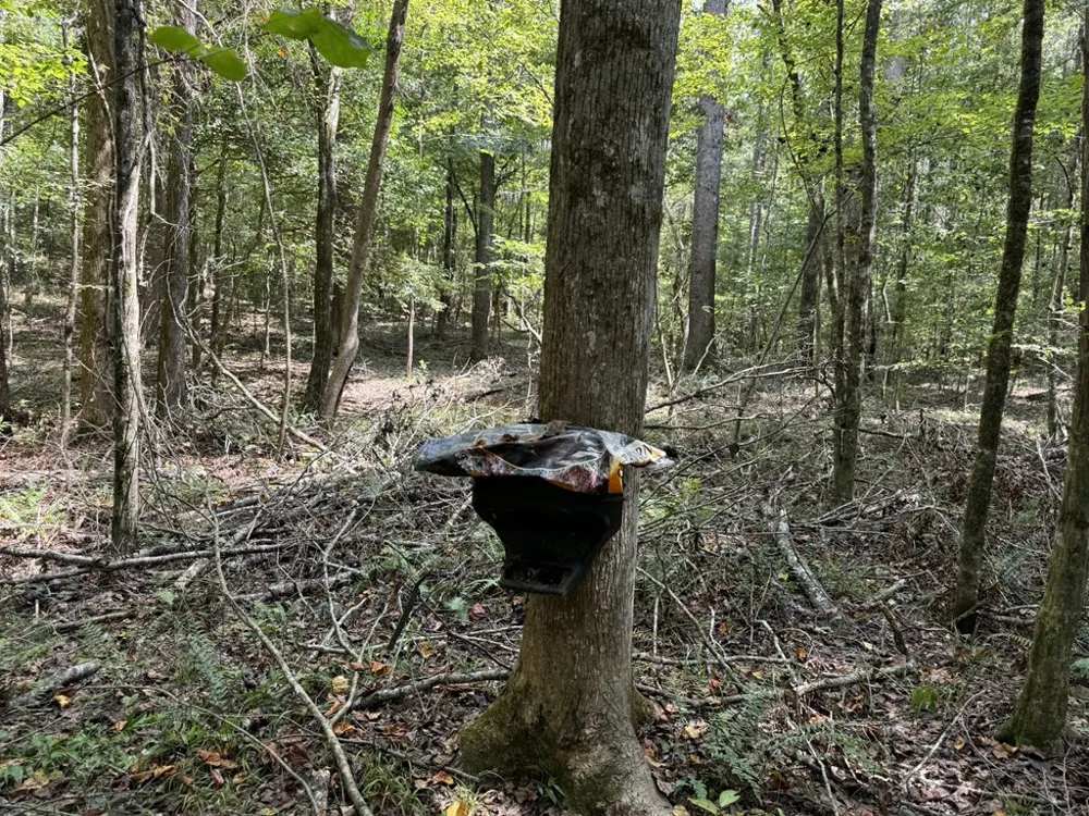 0 Graves Road Liberty, MS 39645
