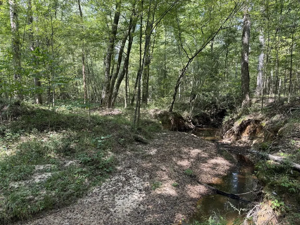0 Graves Road Liberty, MS 39645