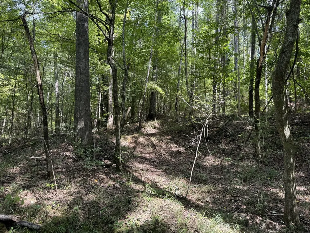 0 Graves Road Liberty, MS 39645