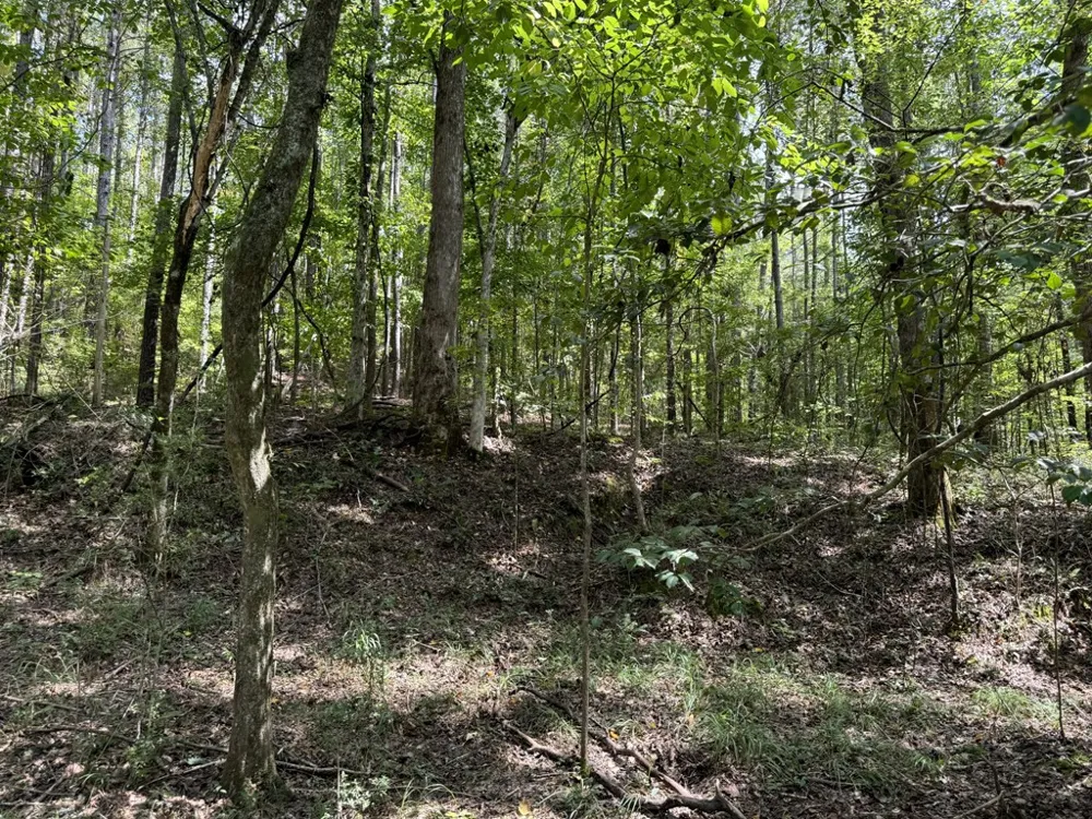 0 Graves Road Liberty, MS 39645
