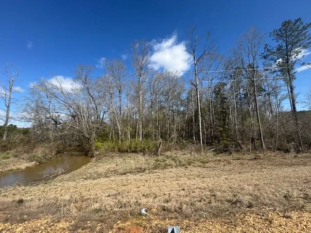 1111 Mount Olive Rd Se Bogue Chitto, MS 39629