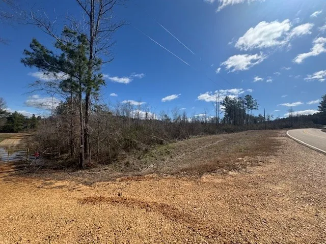 1111 Mount Olive Rd Se Bogue Chitto, MS 39629