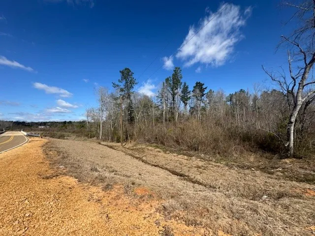 1111 Mount Olive Rd Se Bogue Chitto, MS 39629