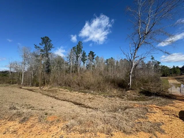 1111 Mount Olive Rd Se Bogue Chitto, MS 39629
