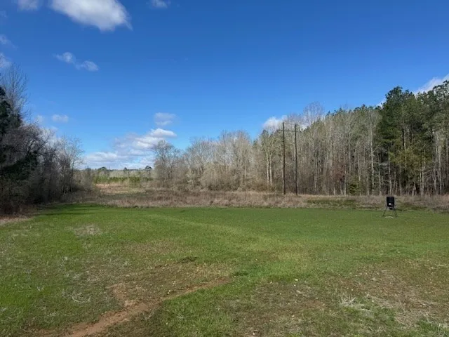 1111 Mount Olive Rd Se Bogue Chitto, MS 39629