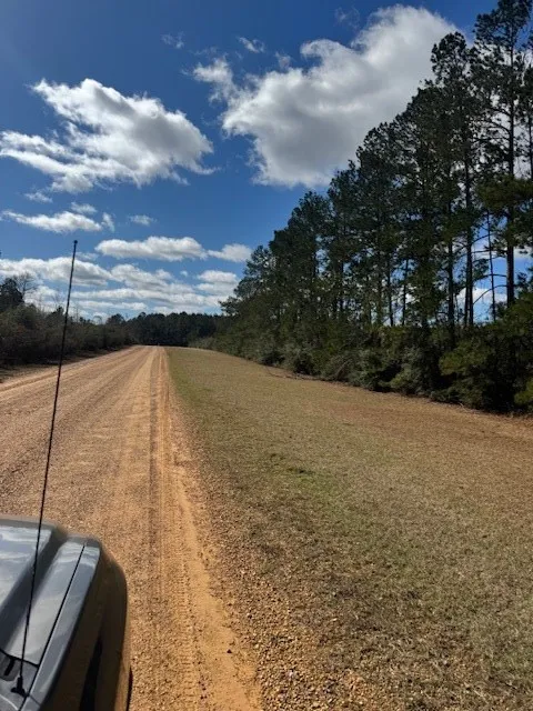1111 Mount Olive Rd Se Bogue Chitto, MS 39629