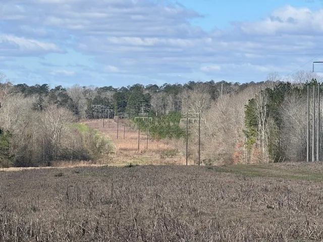 1111 Mount Olive Rd Se Bogue Chitto, MS 39629