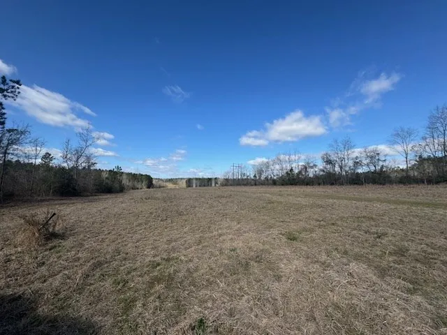 1111 Mount Olive Rd Se Bogue Chitto, MS 39629