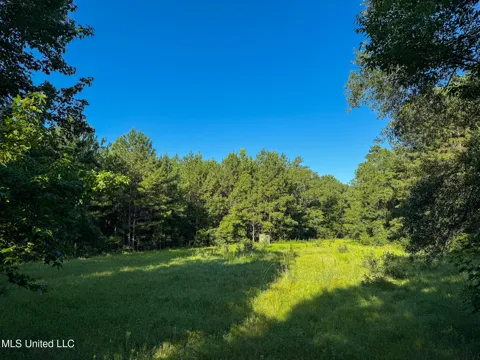 275+/- J M Burge Road
