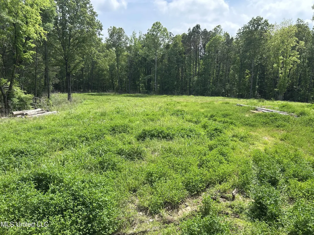 4315 Crockett Road Sarah, MS 38665