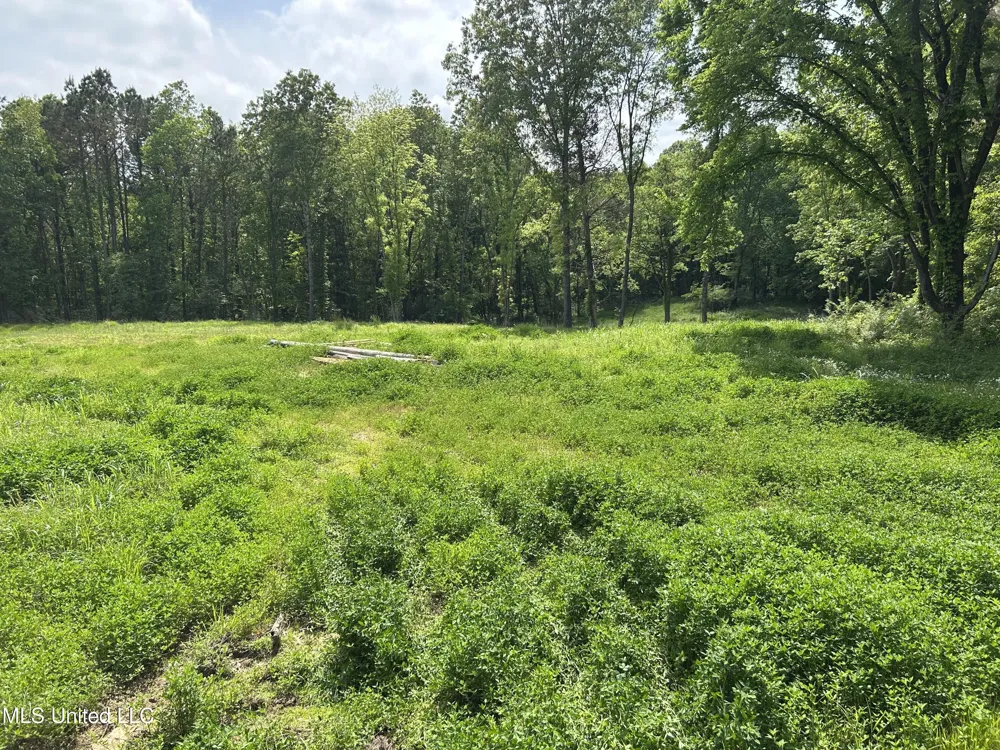 4315 Crockett Road Sarah, MS 38665