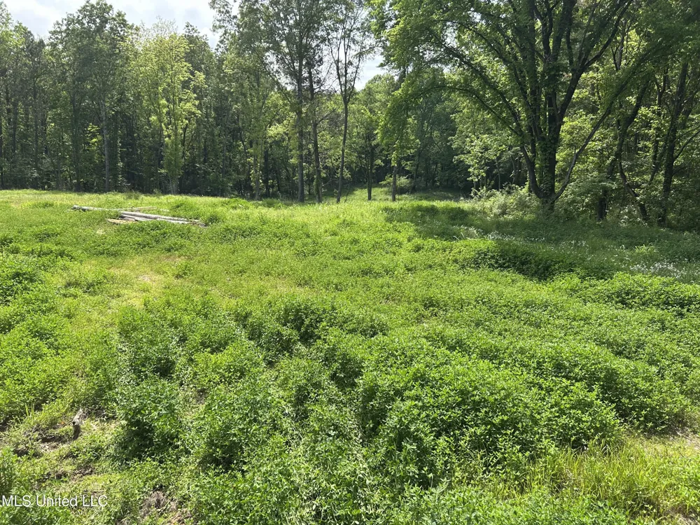 4315 Crockett Road Sarah, MS 38665