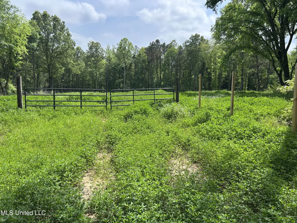 4315 Crockett Road Sarah, MS 38665