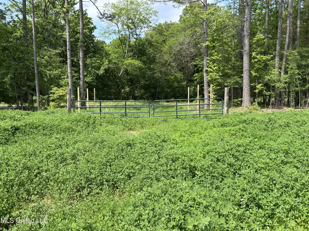 4315 Crockett Road Sarah, MS 38665
